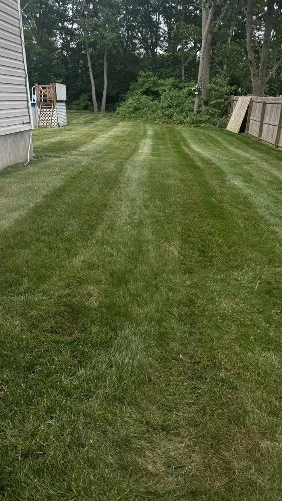 Top-rated landscape design for year-round maintenance across Mastic, NY - Dragon Ball Landscaping