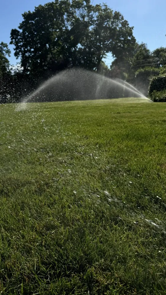 Expert landscape design in Mastic, NY - Dragon Ball Landscaping