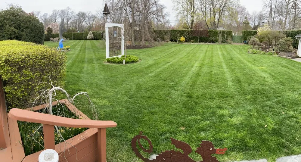 Reliable lawn mowing service experts serving Mastic, NY - Dragon Ball Landscaping