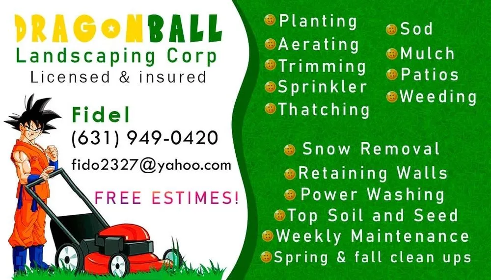Trusted landscaping services for outdoor upgrades in Mastic, NY by Dragon Ball Landscaping
