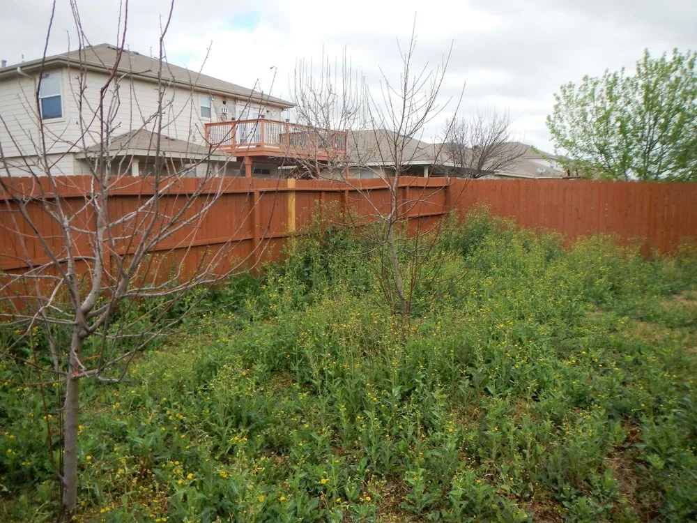 Custom landscaping services for outdoor upgrades across Universal City, TX - Dragon Lawn Care