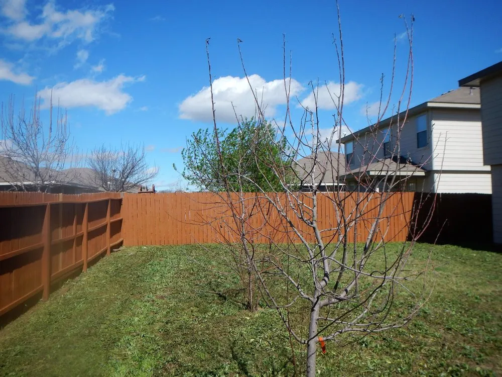 Custom yard maintenance experts serving Universal City, TX - Dragon Lawn Care