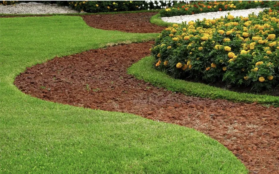 Affordable yard cleanup service experts serving Bastrop, TX - Dragon Scapes