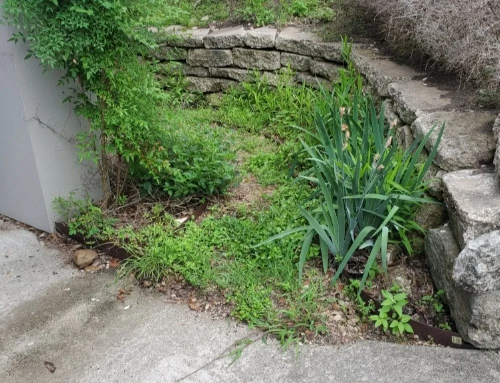 Expert garden landscaping for year-round maintenance in Bastrop, TX by Dragon Scapes