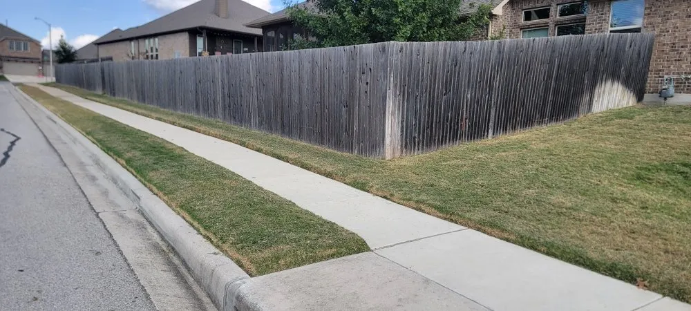 Local yard cleanup service for year-round maintenance across Bastrop, TX - Dragon Scapes