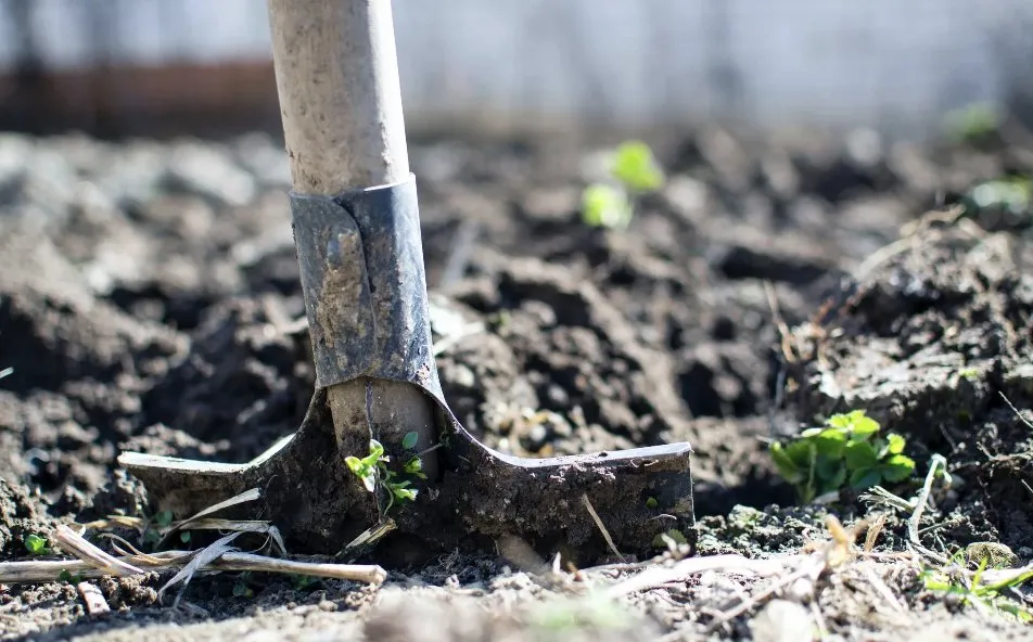 Expert outdoor landscaping in Bastrop, TX - Dragon Scapes