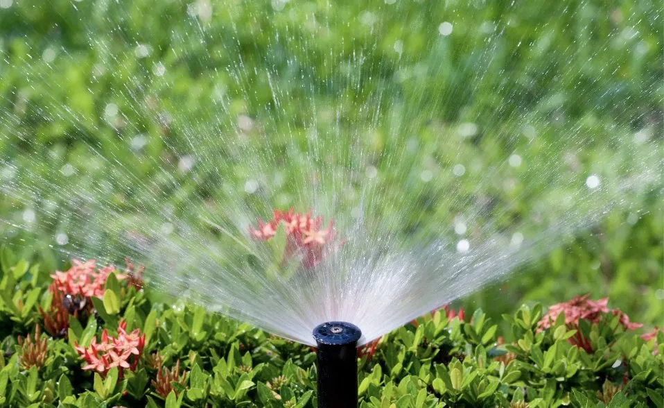 Expert lawn mowing service in Bastrop, TX - Dragon Scapes