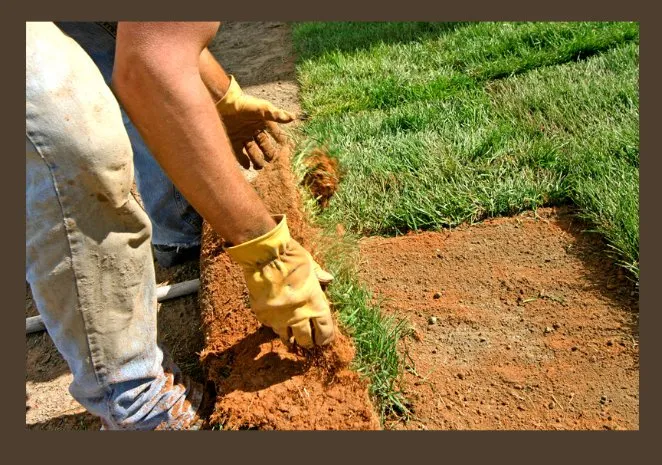Expert landscaping services experts serving Bastrop, TX - Dragon Scapes