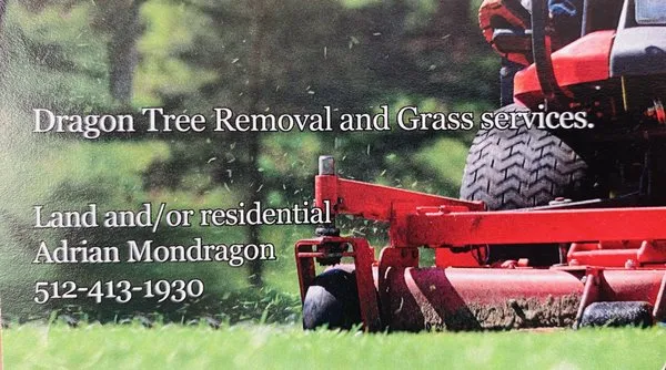 Dragon Tree Removal and Grass Services Logo