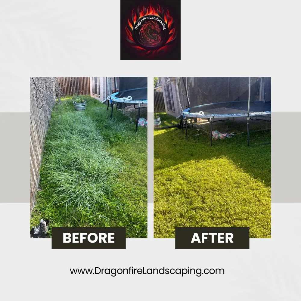 Top-rated lawn mowing service for year-round maintenance across Corpus Christi, TX - Dragonfire Landscaping