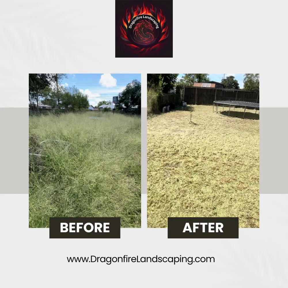 Trusted residential landscaping in Corpus Christi, TX - Dragonfire Landscaping