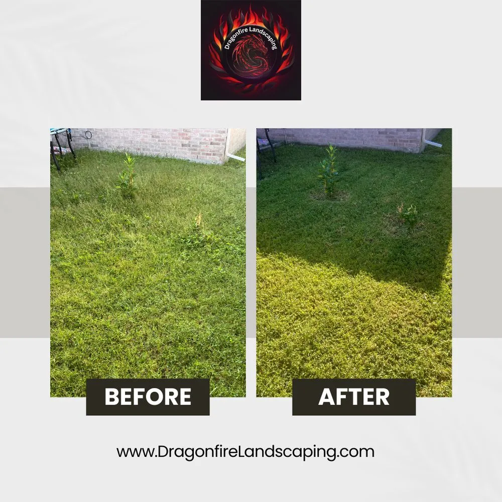 Affordable outdoor landscaping with custom design in Corpus Christi, TX by Dragonfire Landscaping
