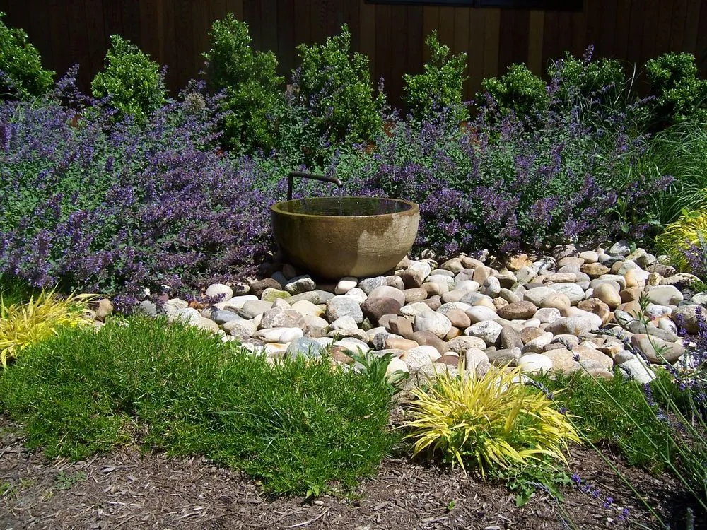 Top-rated residential landscaping with custom design across Speonk, NY - Dragonfly Landscape Design