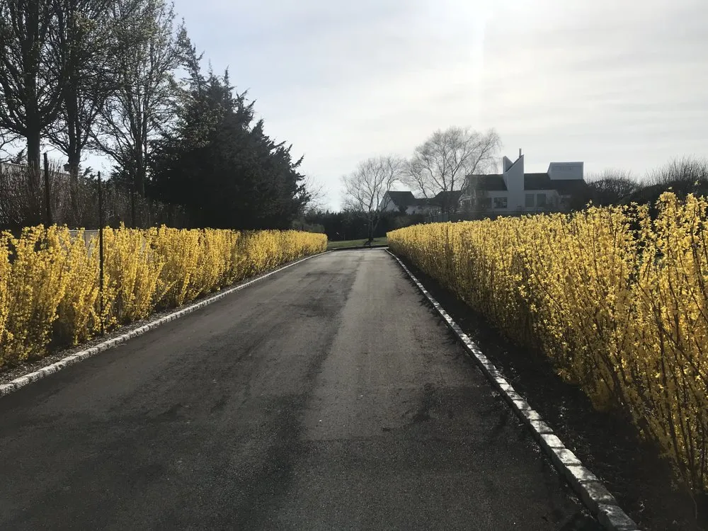 Custom yard maintenance with custom design across Speonk, NY - Dragonfly Landscape Design