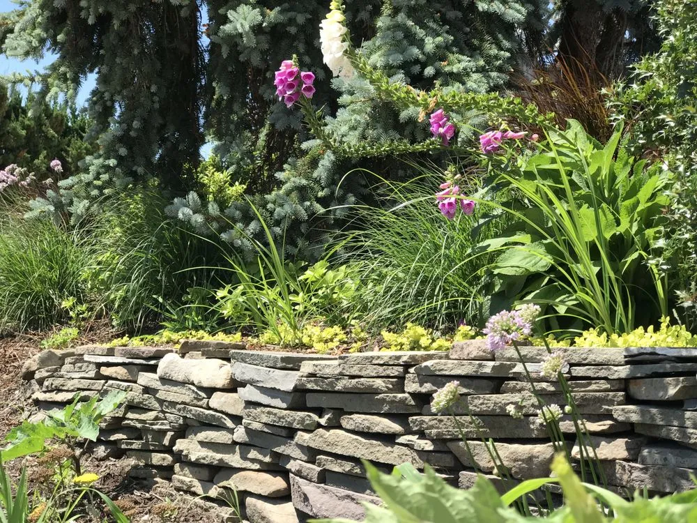 Expert lawn care service near you across Speonk, NY - Dragonfly Landscape Design
