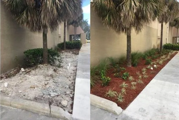 Professional lawn mowing service in Vero Beach, FL - Dragonfly Landscapes