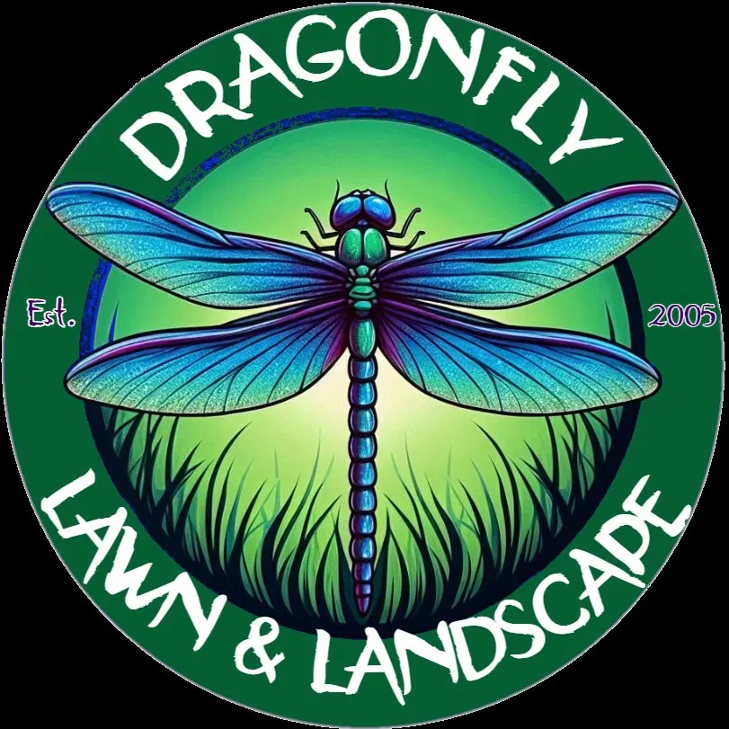 Expert landscape installation experts serving Chicopee, MA - Dragonfly Lawn & Landscape