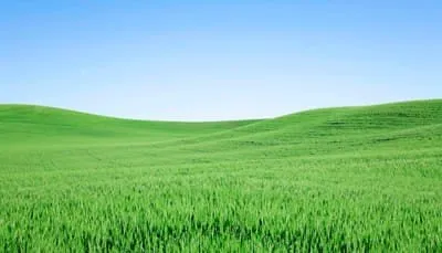 Expert landscape design near you in Chicopee, MA by Dragonfly Lawn & Landscape