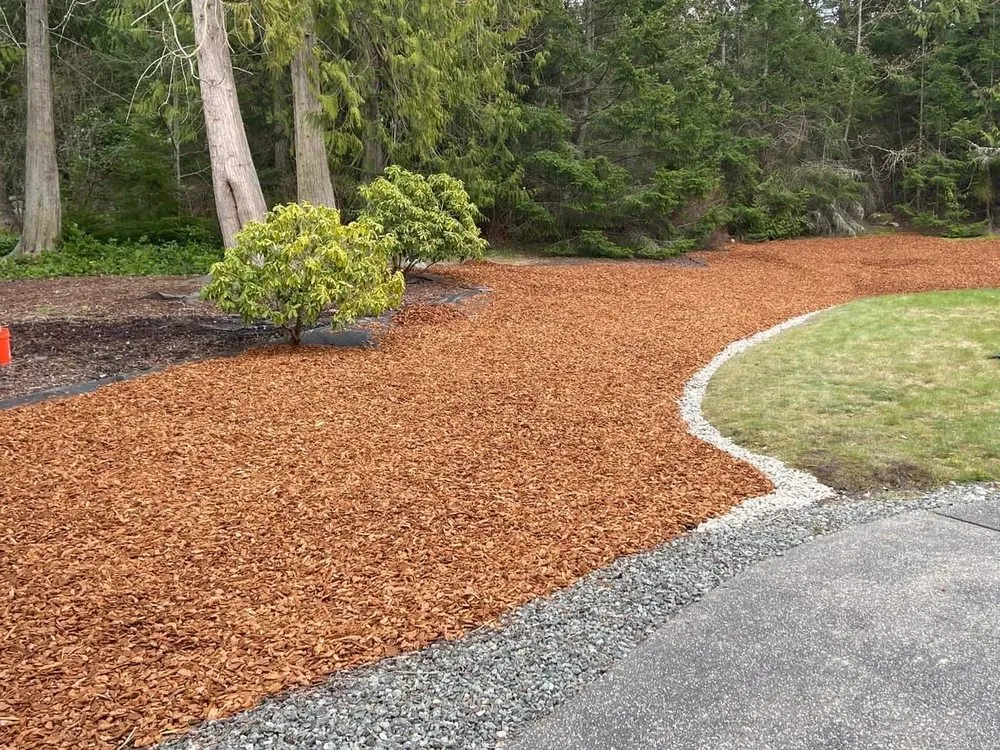 Expert yard maintenance for homes in Oak Harbor, WA by Dragonfly Wild