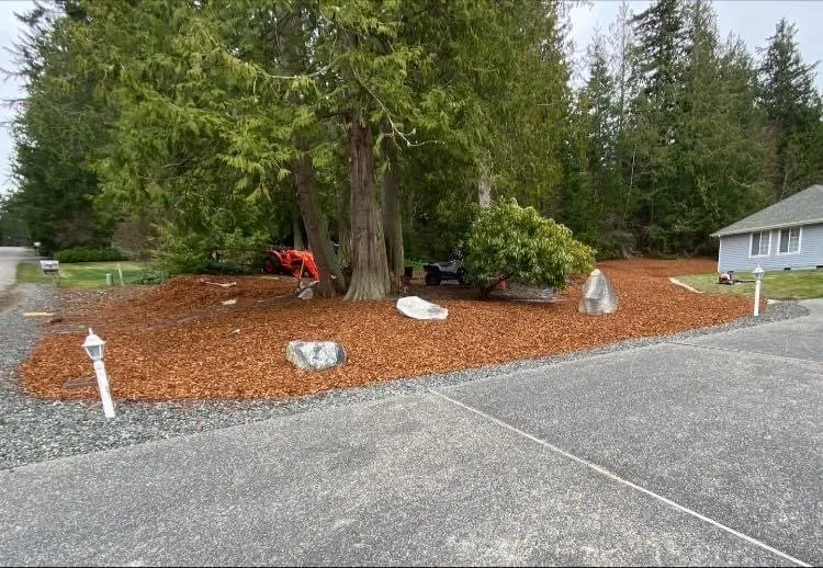 Trusted lawn mowing service in Oak Harbor, WA - Dragonfly Wild