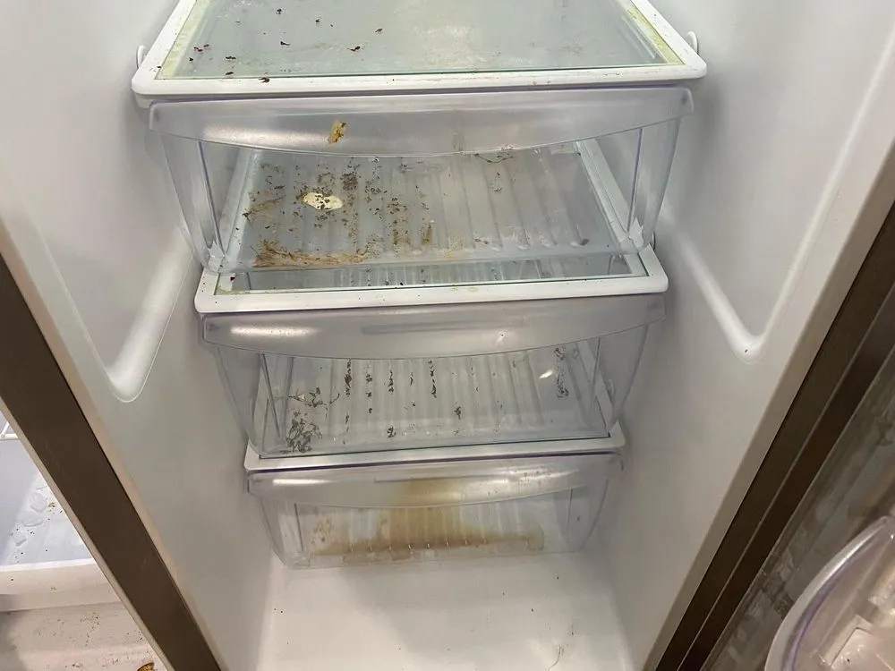 Expert garden landscaping in Newport News, VA - Dragon's Gate Cleaning