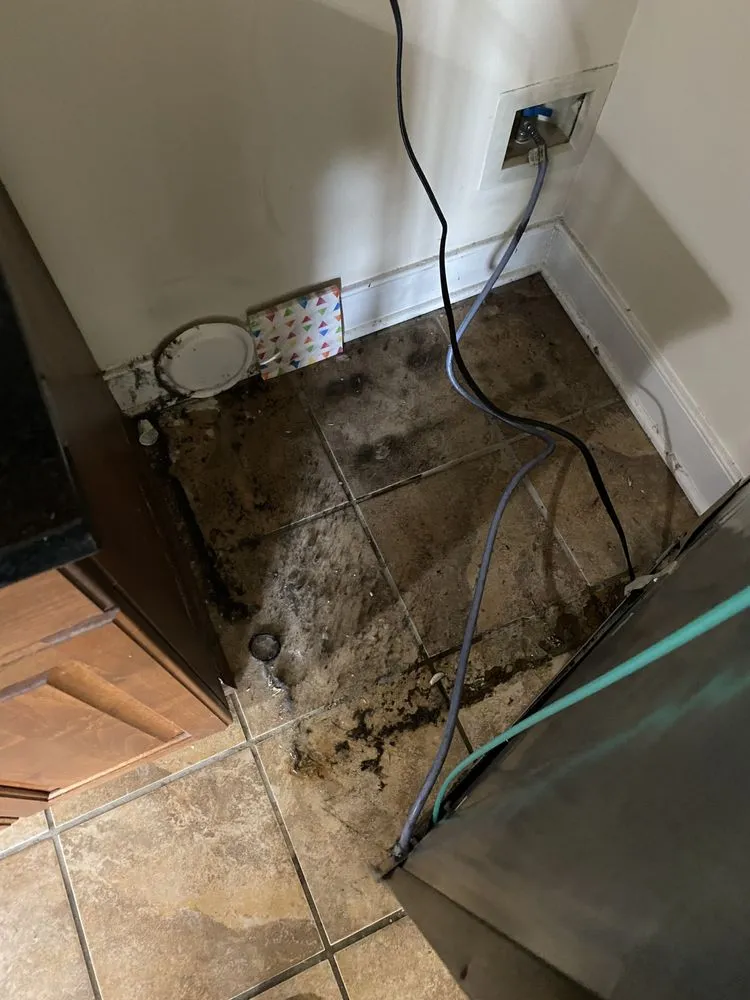 Trusted landscape design in Newport News, VA by Dragon's Gate Cleaning