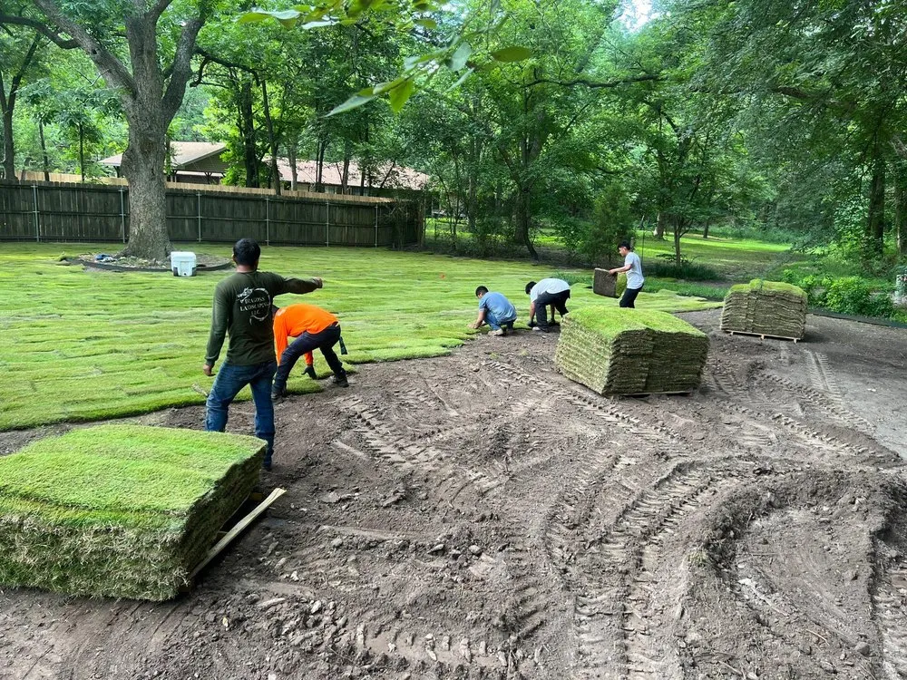 Top-rated landscape design for beautiful yards in Howe, TX by Dragons Landscaping - Drainage & Sprinkler Repair