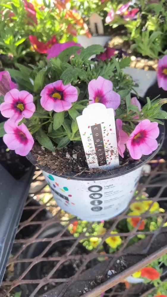 Affordable landscape installation in Spokane, WA - Dragonstone Lawn Care