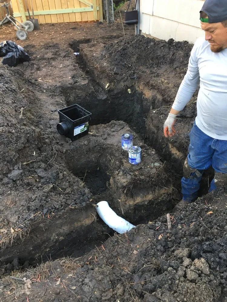 Professional lawn care service for homes across Alvin, TX - Drain Xperts