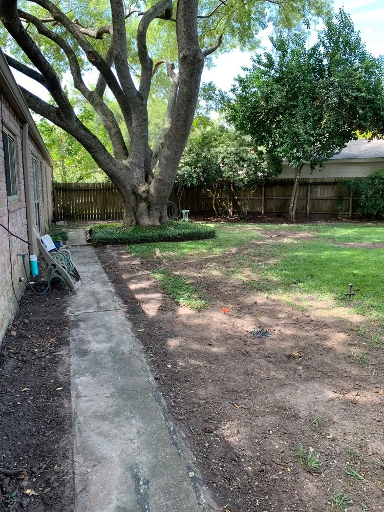 Top-rated lawn care service in Alvin, TX by Drain Xperts