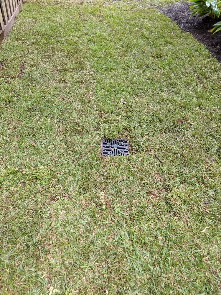 Reliable yard maintenance for homes across Alvin, TX - Drain Xperts