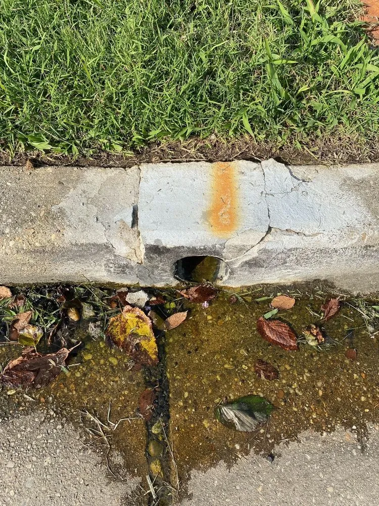 Top-rated yard cleanup service for outdoor upgrades across Falls Church, VA - Drainage & Erosion Solutions