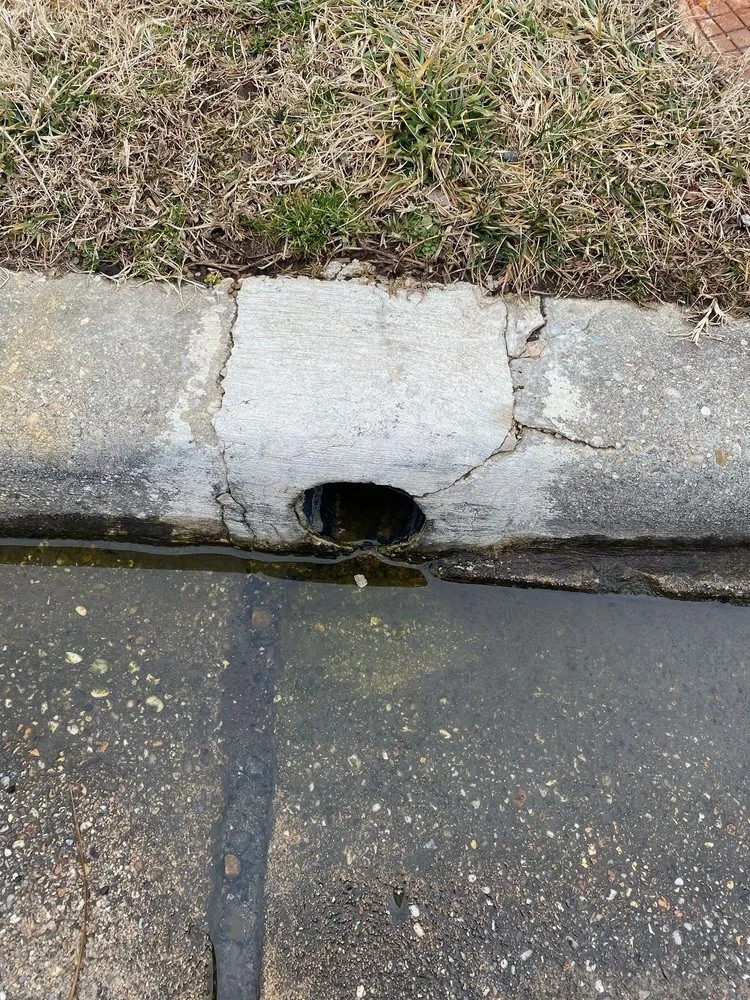 Top-rated yard cleanup service experts serving Falls Church, VA - Drainage & Erosion Solutions