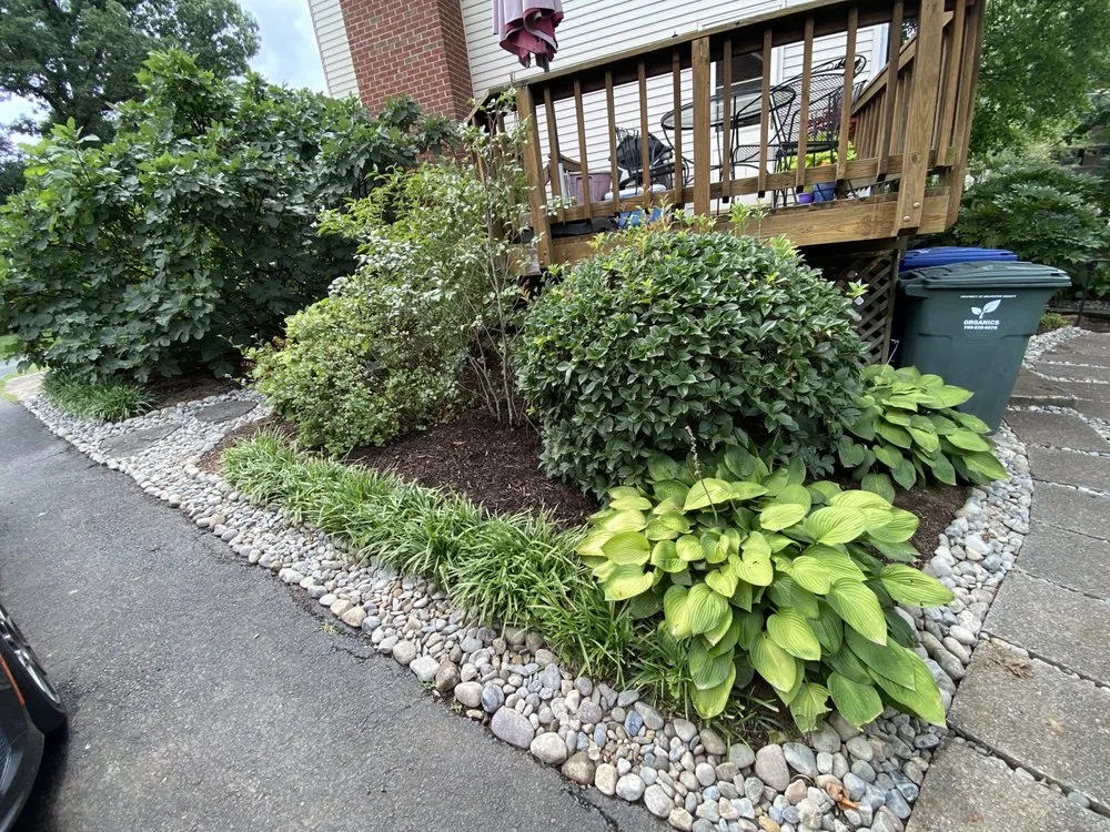 Custom yard cleanup service in Falls Church, VA by Drainage & Erosion Solutions