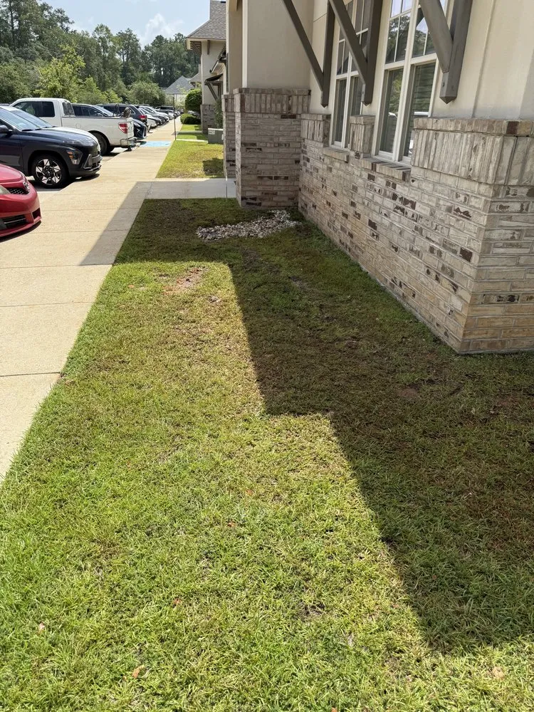 Professional outdoor landscaping near you in Bush, LA by Drainage Plus