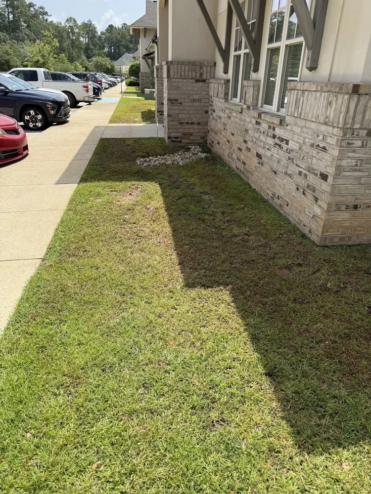 Local yard cleanup service near you in Bush, LA by Drainage Plus