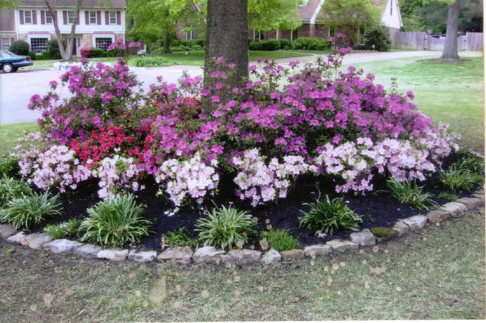 Custom landscape installation in Columbia, TN - Drainage Pros & Grading