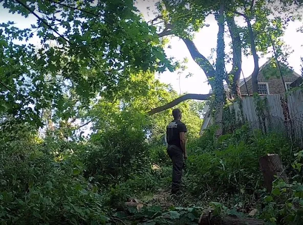 Local lawn mowing service for year-round maintenance in Downingtown, PA by Drake Landscape