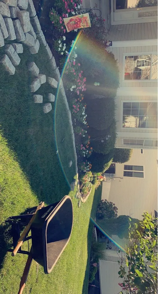 Local yard maintenance for year-round maintenance in Downingtown, PA by Drake Landscape