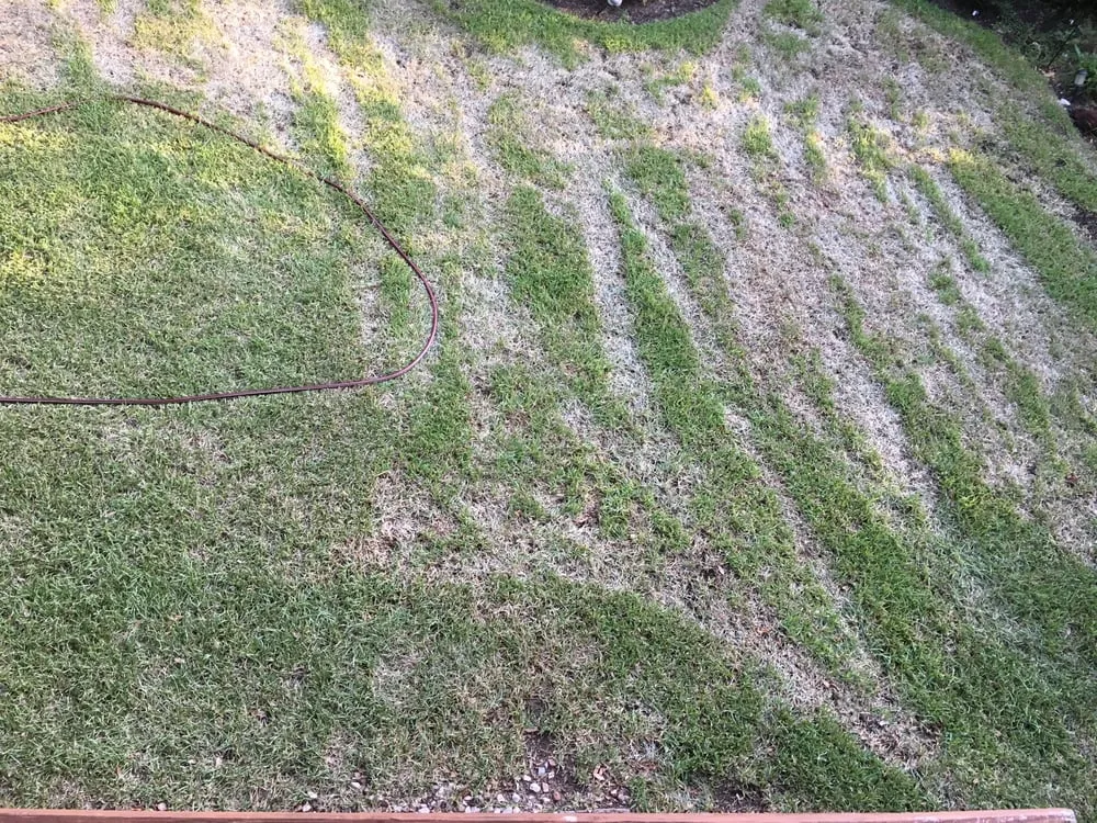 Affordable landscape design for residential properties in Austin, TX by Drake Landscape Service