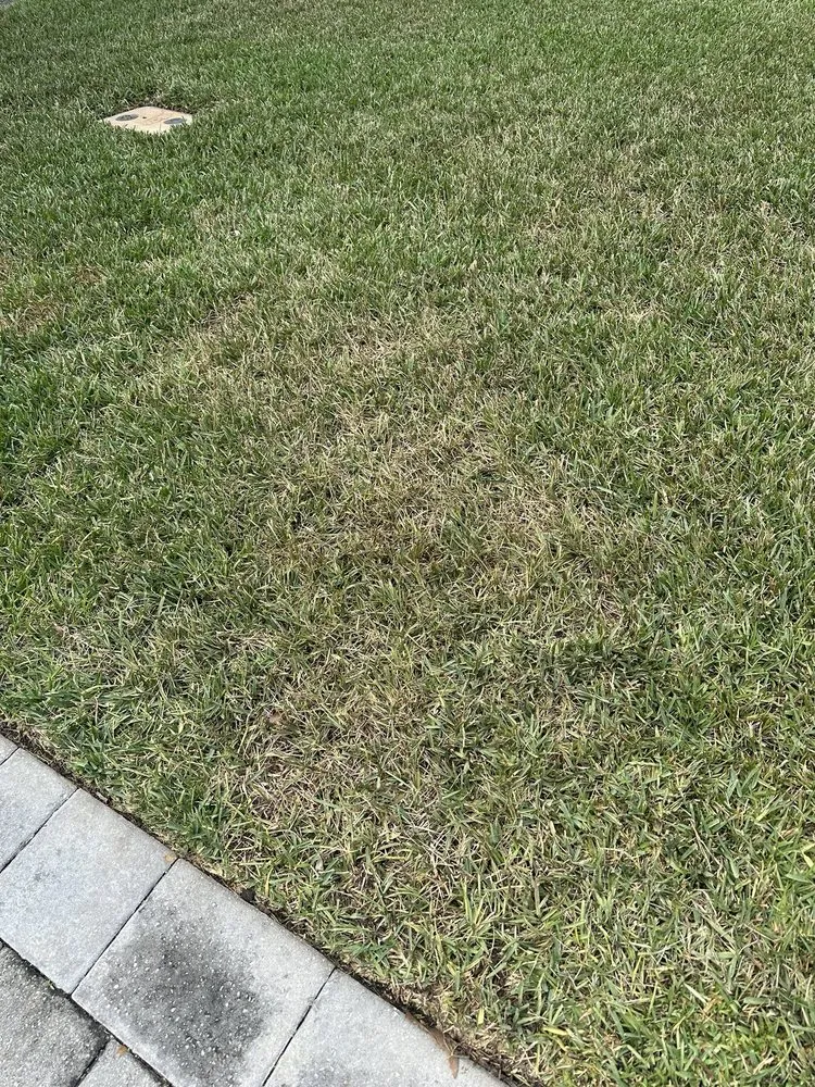 Top-rated landscaping services experts serving Jacksonville, FL - Drake Lawn & Pest Control