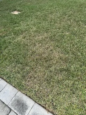 Drake Lawn & Pest Control Logo