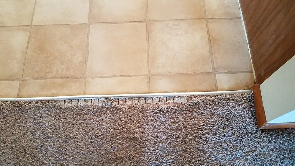 Affordable outdoor landscaping with custom design across Fort Collins, CO - Drake Manor Management