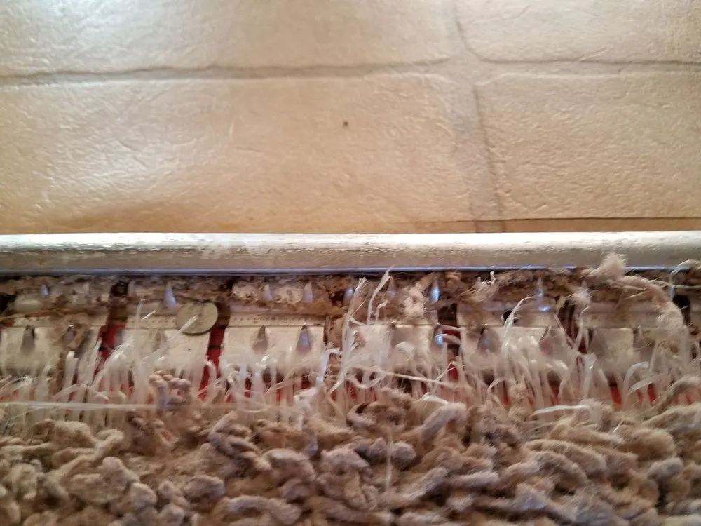 Trusted landscape design in Fort Collins, CO by Drake Manor Management