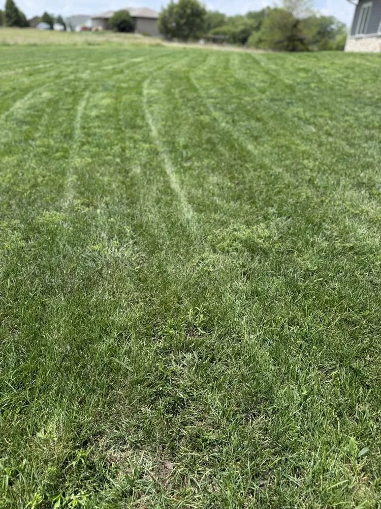 Professional yard maintenance experts serving Firth, NE - Drake Mowing