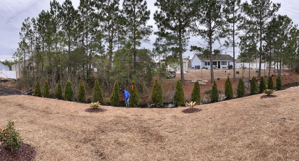 Expert outdoor landscaping in Ash, NC - Drake Scapes