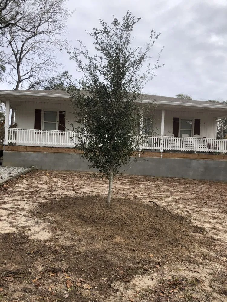 Top-rated lawn care service near you in Ash, NC by Drake Scapes