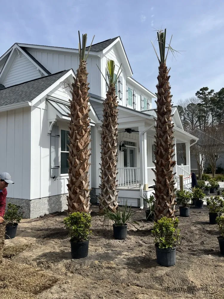 Trusted garden landscaping for year-round maintenance in Ash, NC by Drake Scapes