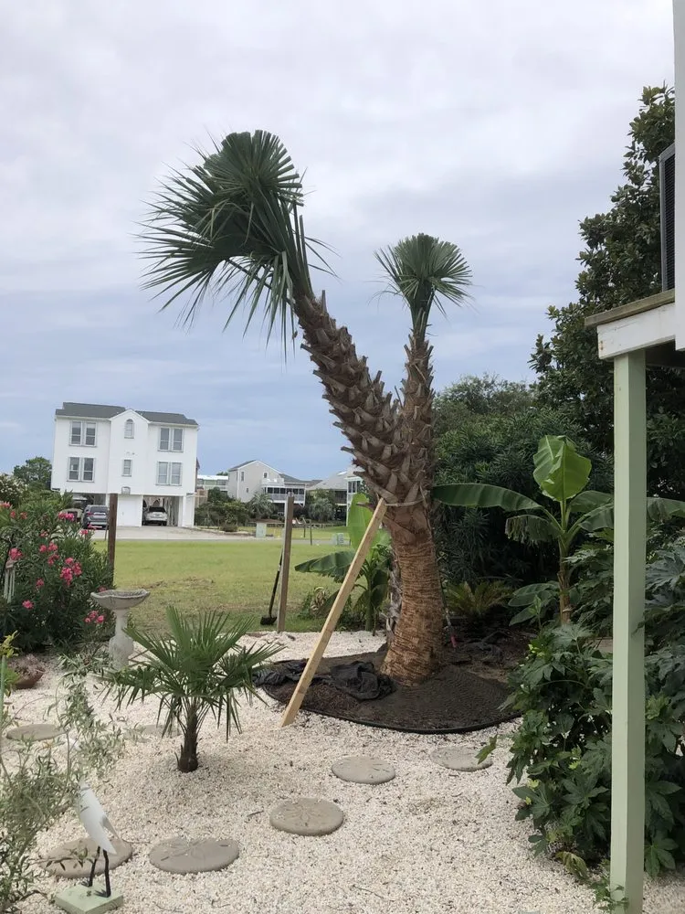 Local landscaping services in Ash, NC by Drake Scapes