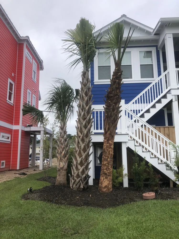 Custom landscaping services experts serving Ash, NC - Drake Scapes
